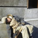 컴 메니아 이미지