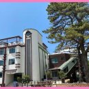 수주섬 힐링스테이 | 영월모텔 여행의 진정한 휴식처, 수주섬모텔에서 행복한 추억을!