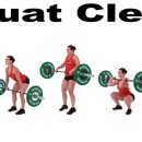 크로스핏 고 이미지