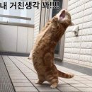 질울고래실마을 이미지