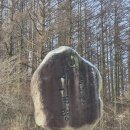 첫 눈이 오던 날 [25 12 13 강원 태백산 (154)] 이미지