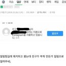 이제 인스타그램 부계정 알려줌 (?????) 이미지