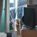 북극해고등어천안동남점 이미지