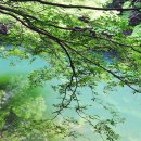 수채화를그리다