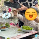 일진민박 이미지