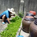 내고향집 이미지