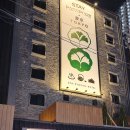 도쿄하나 사당점 | 서울 사당료칸 숙소 이색 호텔 스테이패스포트도쿄사당점 감성적이야