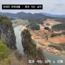 영월선돌 | 왕과 사는 남자 영화 촬영지 영월 청령포 선돌에서 내려다본 후기