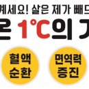 온담온열방 네이버블로그