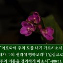 레베트 티스토리