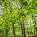 연세나루정신건강의학과의원 이미지