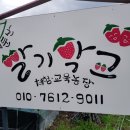 만악농장 네이버블로그