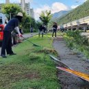 중동교 하단 이미지