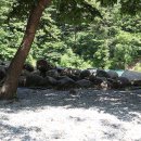 대관령 솔내음 오토 캠핑장 이미지