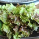 뽕잎 막국수 이미지