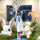 츄렌즈 플래그십 스토어 연남 | 츄렌즈 플래그십 스토어 연남 방문 후기 무료 검안 컬러렌즈 오프라인 매장