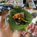 현성테크 | 용인 동백 고기집 녹도야집 맛집 솔직 후기