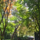 더숲소전미술관(deosup sojeon)