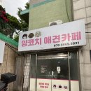 5931 | 영통 애견카페 | 매탄동 애견 유치원, 유기견 입양 가능한 양코치 애견카페 방문 후기