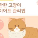 상암동물병원 이미지