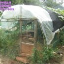 내서읍724 이미지