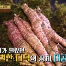 박종현농장 이미지