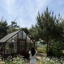 탑블루베리(주) | 천안 샤스타데이지꽃 명소 카페 이숲 시즌 시작 방문 및 주차