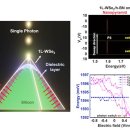 광원빌딩 이미지