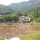 대석2리 상촌계곡 이미지