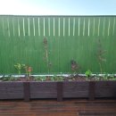 반디유치원 이미지