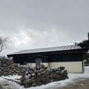 세화수목 이미지