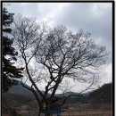 행정2리마을회관 이미지