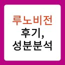 비전 | 루노비전 후기, 성분 분석