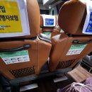 보니 집임 전생같은 2024 테일러 스위프트 디 에라스 투어 2/7 후기 긴글주의 (feat.도쿄여행_절망편)