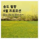 월향보쌈