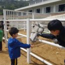 다린어린이집 이미지