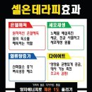 36.5 체온다이어트