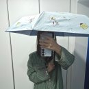 던킨 산리오 시나모롤 경량 우양산 솔직 후기