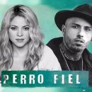 Shakira (샤키라)의 모든 것 - 6 - 콜롬비아 음악 이미지