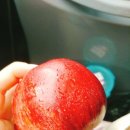 금광휴게소매점 | 180428 타이중 구족문화촌 다녀왔습니다