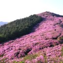 효목주유소 Daum카페