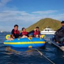 올인원투어 이미지