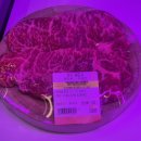 거창식당 | 거창 소고기 구이 워낭 / 거창 한우 정육식당 가격 / 거창 맛집 / 내돈내산 / 솔직후기