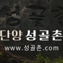 성골촌 이미지