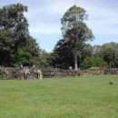 스마일여행사 이미지