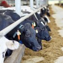 정화축사 이미지