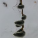가평가평1087 티스토리