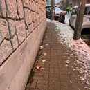 구내도전분교 화장실 | 12월 일상기록(1) 첫눈이 내린 어느날❄️