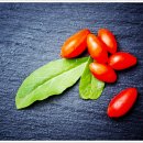 원당한의원 이미지