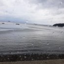 덕이네민박